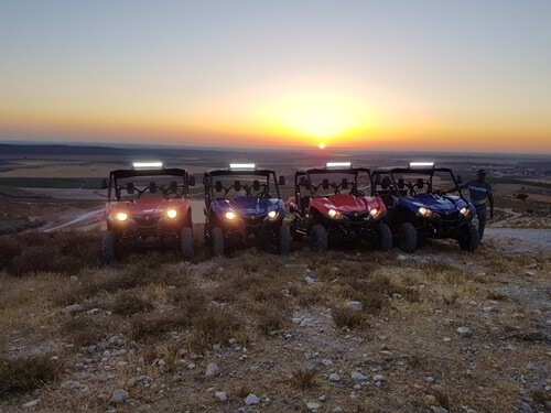 טרקטורוני אריות השפלה